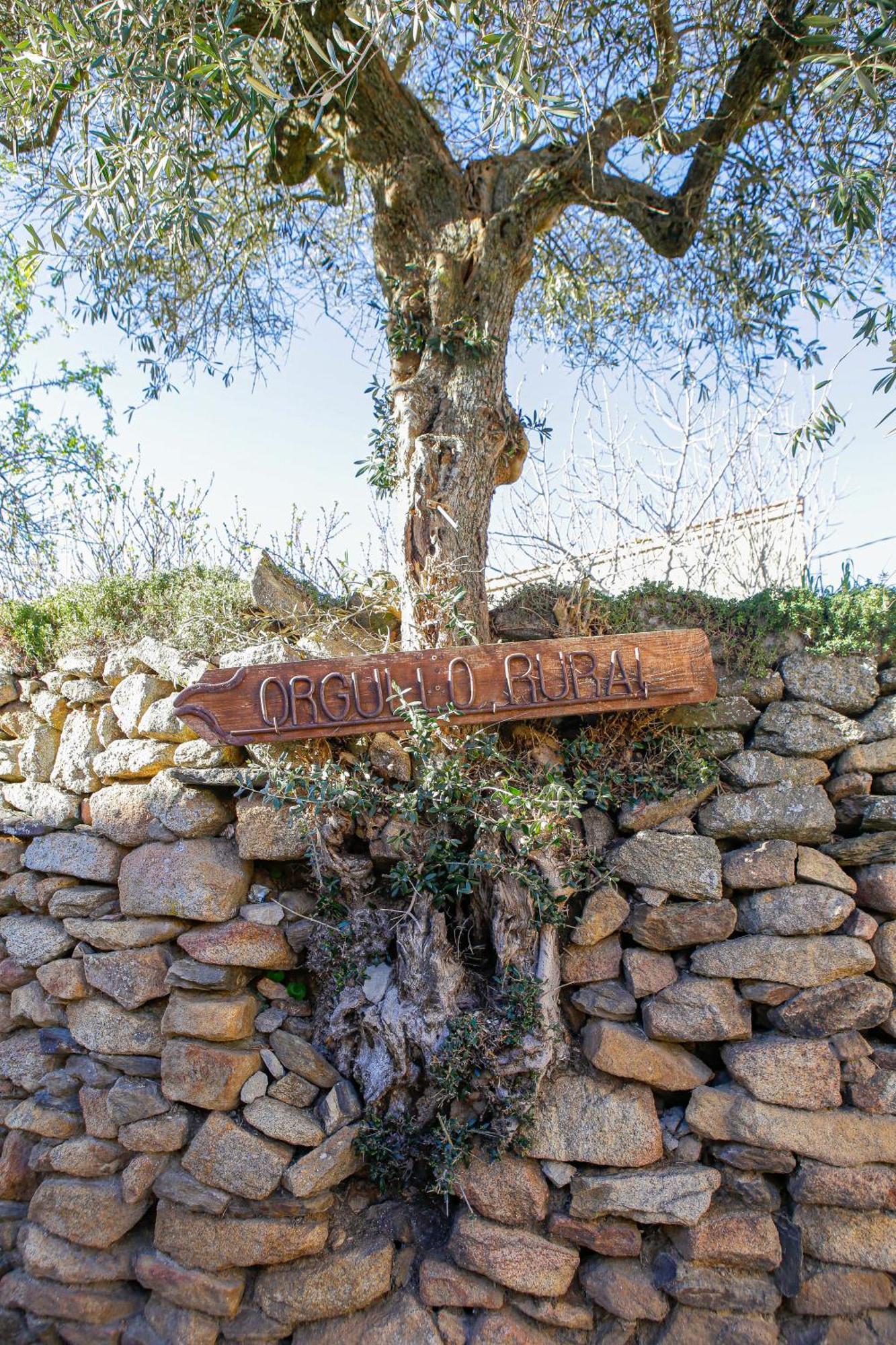 Casa Rural Therma Agreste Bermellar Kültér fotó